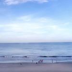 El Manzanillo Mexican Restaurant